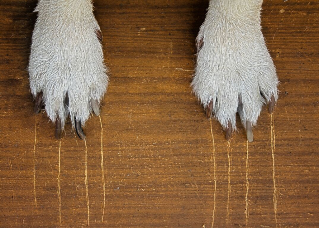 Floor scratches